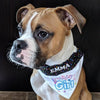 Your Dog Is Your Best Friend — Time to Make It Official