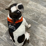 Born to Ride / Over the Collar Dog Bandana