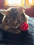 'Shrooms / Crinkle Catnip Crocheted Mushroom Toys