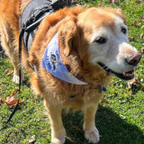 Custom Order Bandana