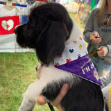I'm Cute / Over the Collar Dog Bandana