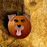 Pumpkin Decorating Kit - No Carve Cat | Dog | Bunny | Turtle