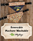 Taco Tuesday / Over the Collar Dog Bandana