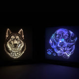German Shepherd Glow: Illuminating Moments Lightbox