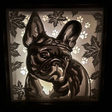 Frenchie Glow: Charming French Bulldog Lightbox