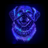 Golden Retriever Radiance: Captivating Moments Lightbox