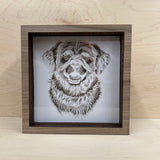 Golden Retriever Radiance: Captivating Moments Lightbox