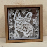 Frenchie Glow: Charming French Bulldog Lightbox