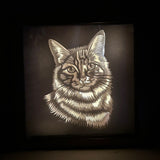 WhiskerWonder Short Hair Cat Lightbox – Enchanting Feline Delight for Your Space