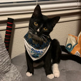 Gimel All the Treats Dog Bandana / Hannukah Over the Collar Dog Bandana