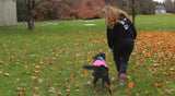 Glitter and Rhinestone Paw Prints Full Zip Sweatshirt