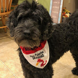 Custom Order Bandana