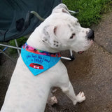 I need a Treat / Over the Collar Dog Bandana