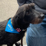 Wiggle Butt / Over the Collar Dog Bandana