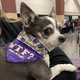 WTF? (Where's the Food?) / Over the Collar Bandana - Mydeye