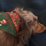 Happy Holidogs / Christmas Dog Bandana