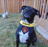 Fire Fighter / Over the Collar Dog Bandana