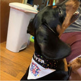 Birthday Boy / Over the Collar Dog Bandana