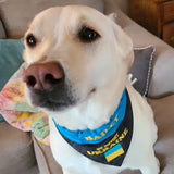 Ukrainian Support Bandana