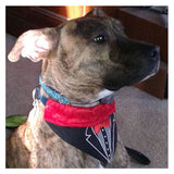 tuxedo dog bandana