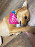 Pet Me Please / Over the Collar Dog Bandana
