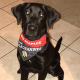 Chicago Blackhawks / Over the Collar Dog Bandana - Mydeye