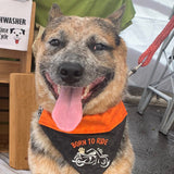 Born to Ride / Over the Collar Dog Bandana