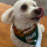 Lets Talk Turkey / Over the Collar Dog Bandana