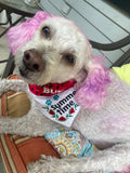 Summer Time Watermelon / Over the Collar Dog Bandana
