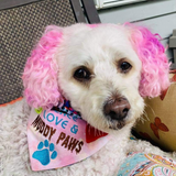 Peace Love and Muddy Paws / Over the Collar Dog Bandana