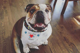 Dont Shop Adopt Bandana