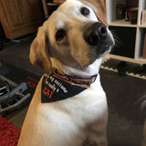I'm really a CAT / Halloween Dog Bandana
