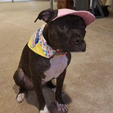 Trouble dog bandana