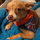 Chicago Bears / Over the Collar Dog Bandana