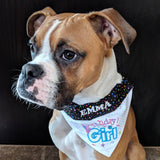 Birthday Girl / Over the Collar Dog Bandana - Mydeye