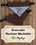Squirrel Patrol / Over the Collar Dog Bandana