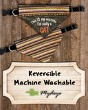 I'm really a CAT / Halloween Dog Bandana