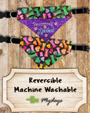 PAWsitively Spoiled / Over the Collar Dog Bandana