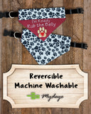 Rub the Belly / Over the Collar Dog Bandana