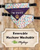 I'm Cute / Over the Collar Dog Bandana
