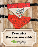 Summer Time Watermelon / Over the Collar Dog Bandana