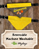 Iowa Hawkeyes / Over the Collar Dog Bandana