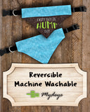 Hump Day / Over the Collar Dog Bandana