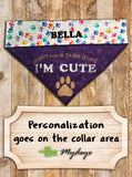 I'm Cute / Over the Collar Dog Bandana