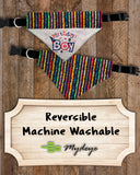 Birthday Boy / Over the Collar Dog Bandana