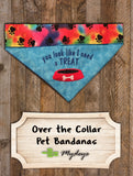 I need a Treat / Over the Collar Dog Bandana