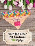 Hanging with my Peeps / Easter Dog Bandana