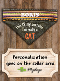 I'm really a CAT / Halloween Dog Bandana
