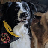 Fire Fighter / Over the Collar Dog Bandana