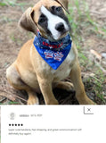 Flag Paws / Over the Collar Dog Bandana